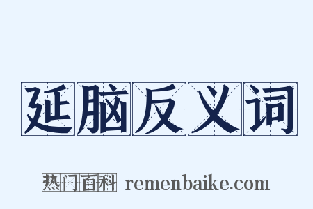 延脑反义词是什么意思的图片